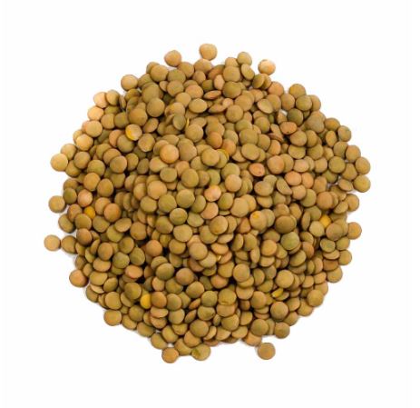 LENTILHA CANADENSE